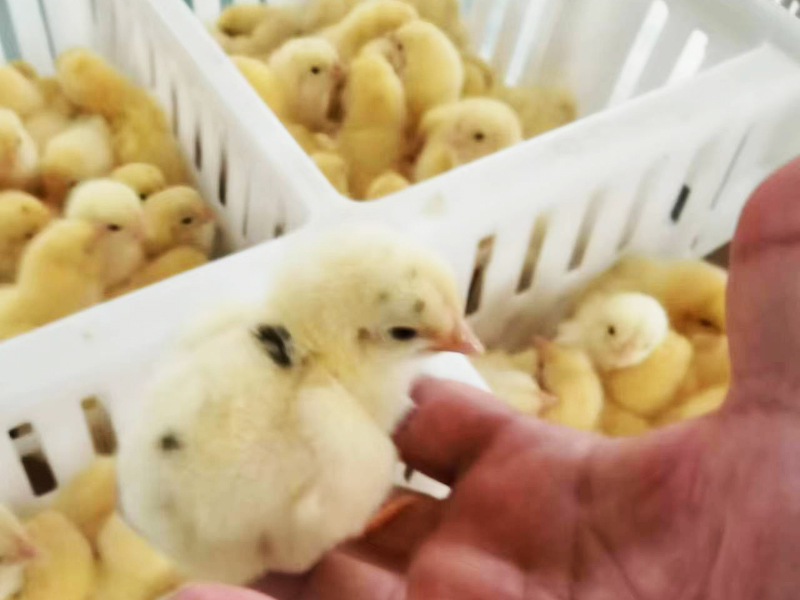 車間實(shí)拍