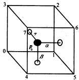 t10-2.gif (2201 bytes)