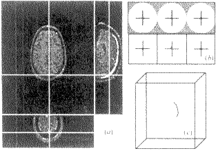 t11-3.gif (15101 bytes)