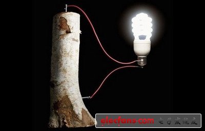 木制電池 —— 未來技術的方向？